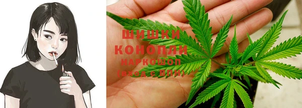 прущий лед Бородино