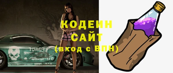 прущий лед Бородино