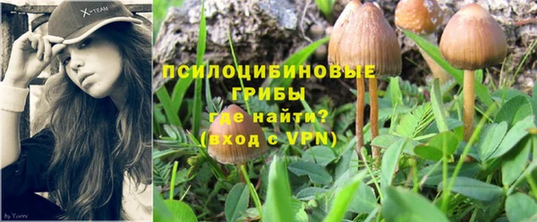 гидропоника Бронницы
