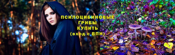 прущий лед Бородино
