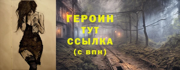 прущий лед Бородино