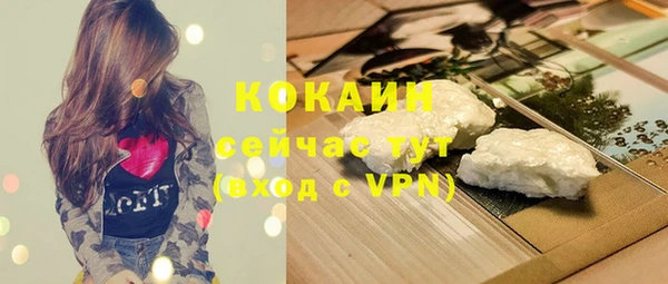 прущий лед Бородино