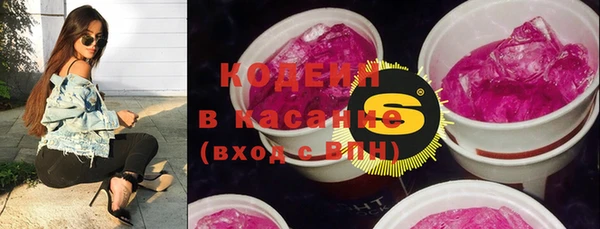 прущий лед Бородино